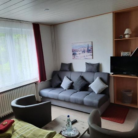 Pension Sonneneck Kamschlacken Экстерьер фото
